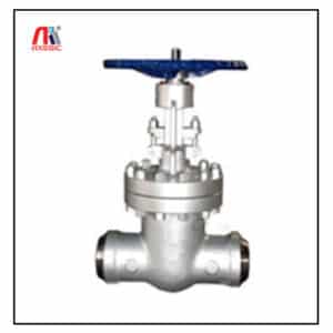 Butt Weld End Gate Valve Exporter in USA