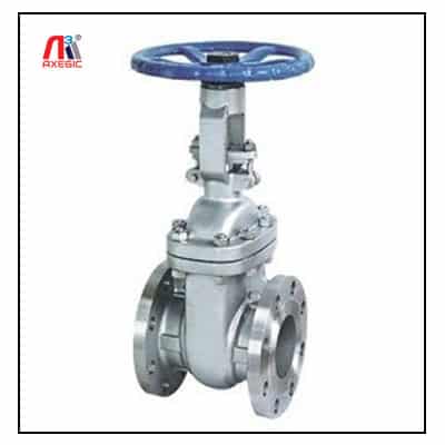 Flanged End Gate Valve Exporter in India