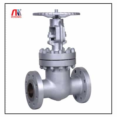 Y Type Jacketed Gate Valve Manufacturer in india