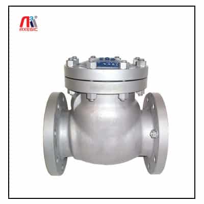 Swing Check Valve Manufacturers in India