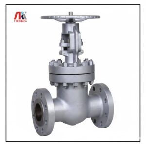 Y type Jacketed Gate Valve